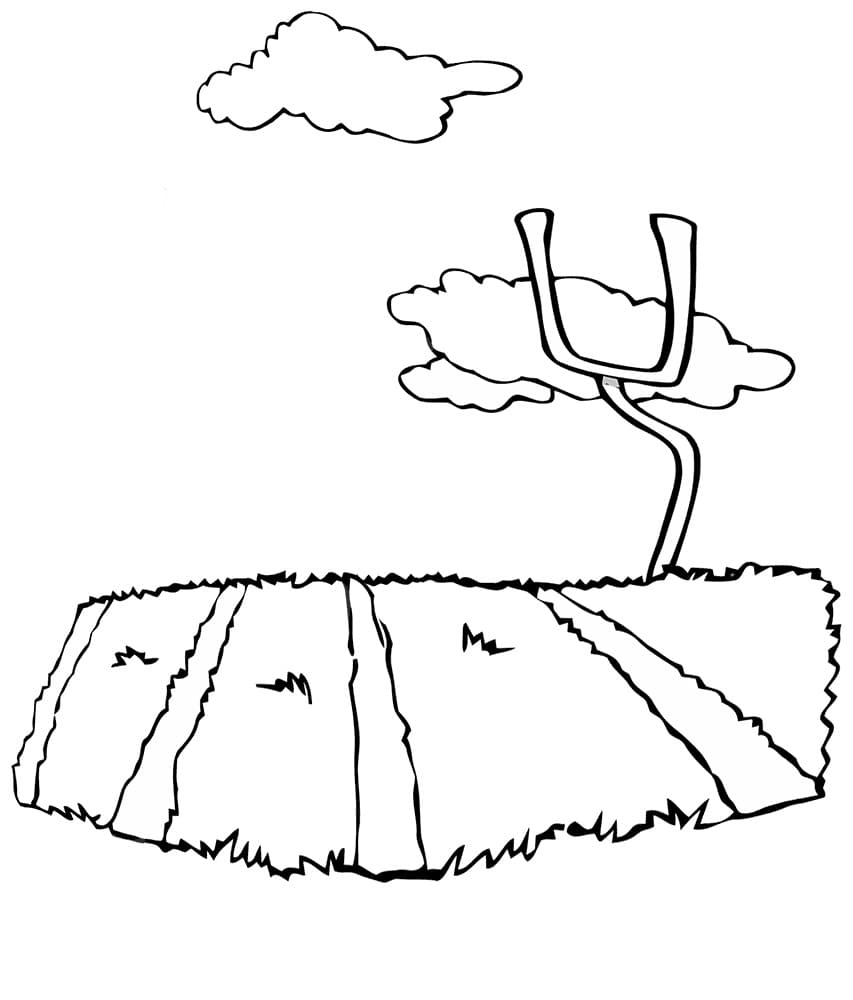 Cánh Đồng Lúa Nhỏ