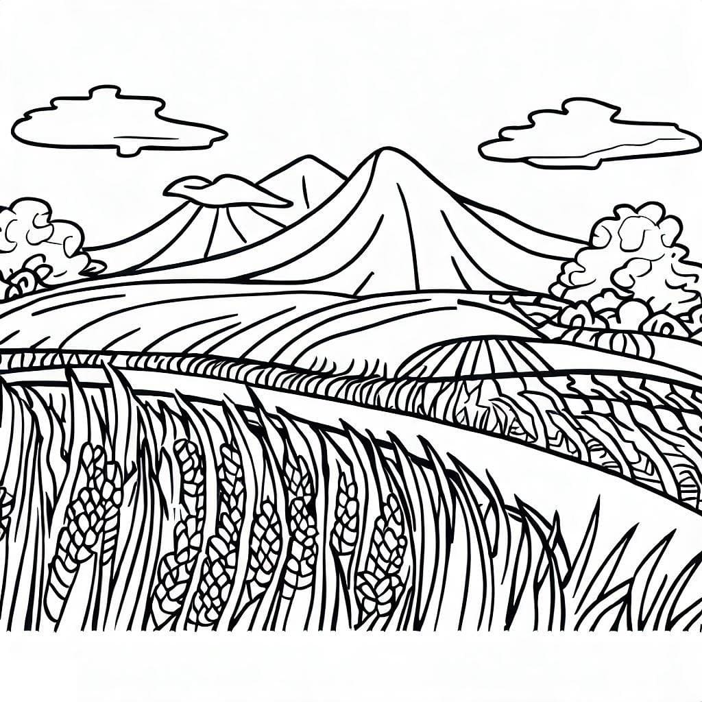 Tô Màu Cánh Đồng Lúa