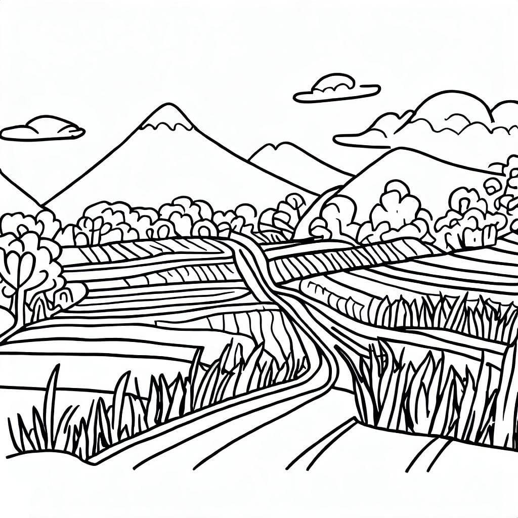 Cánh Đồng Lúa và Ngọn Núi