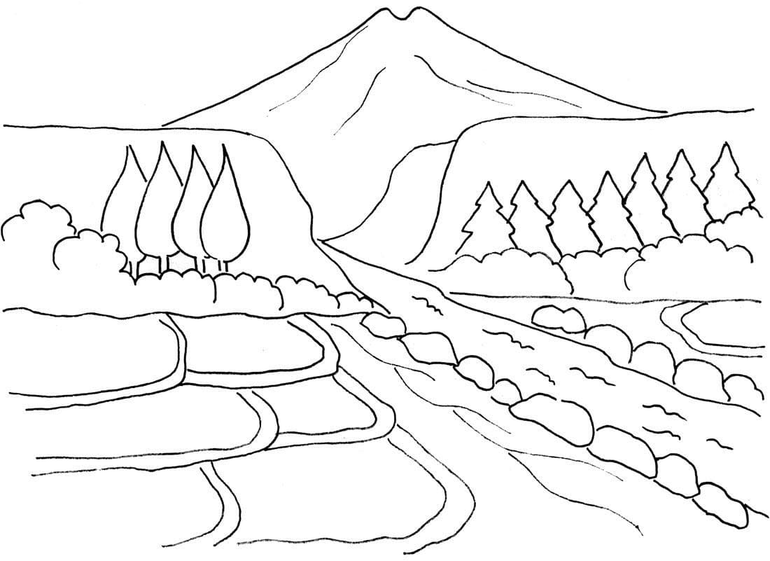 Cánh Đồng Lúa Vùng Cao