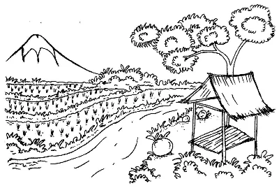 Cánh Đồng Lúa Vùng Quê