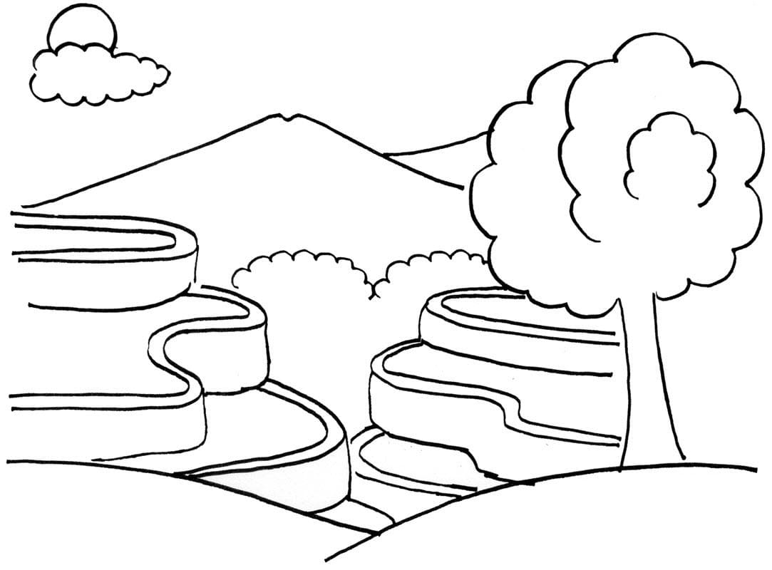 Cánh Đồng Ruộng Bậc Thang