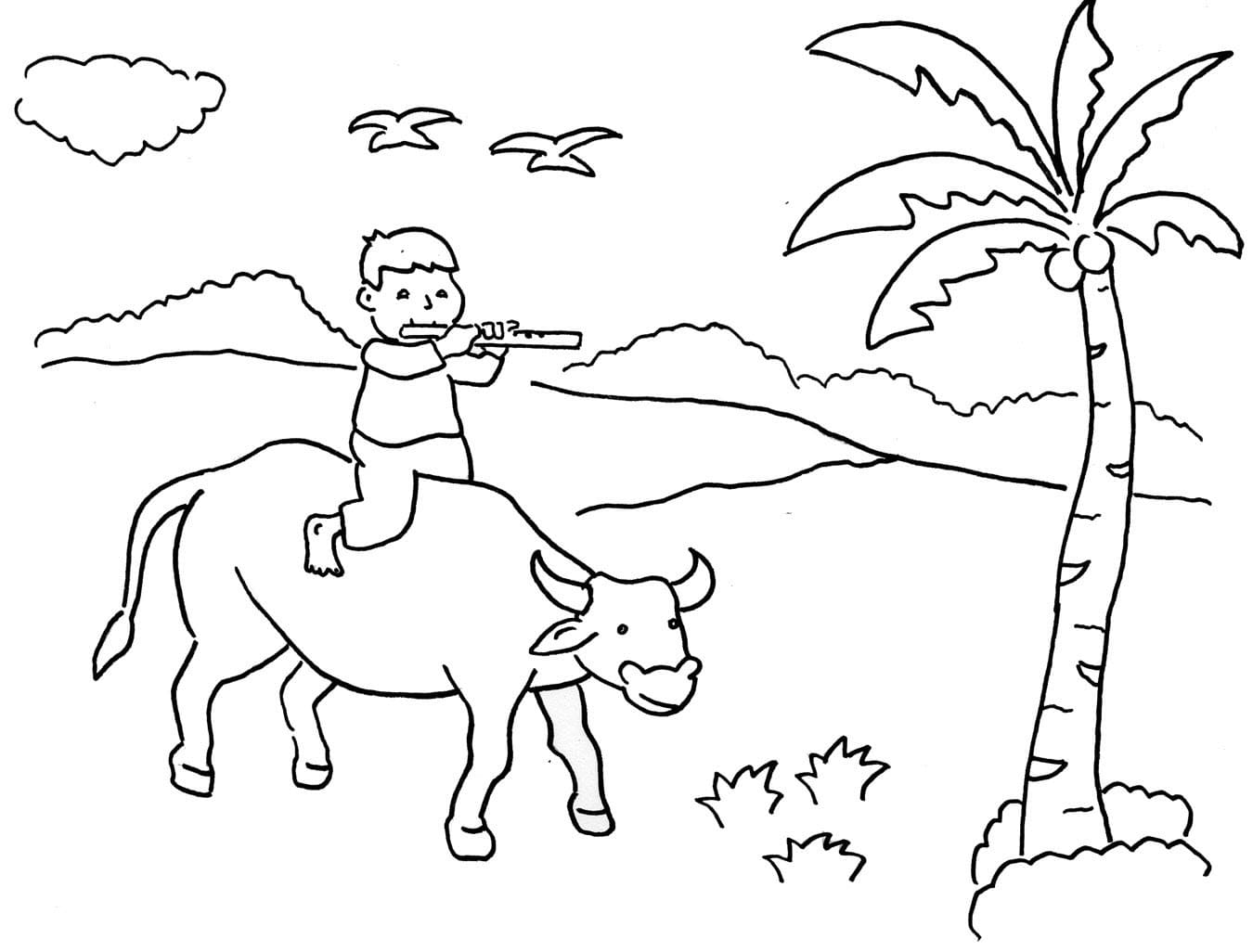 Cậu Bé Chăn Trâu Cánh Đồng Lúa