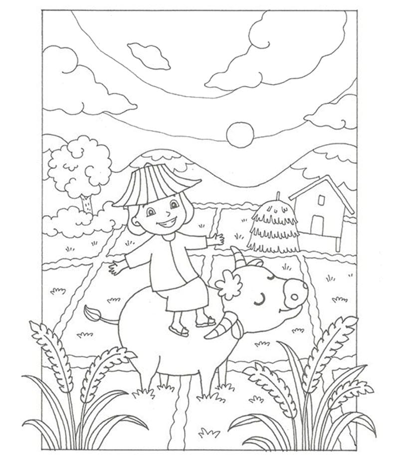 Cậu Bé Chăn Trâu Trên Cánh Đồng Lúa