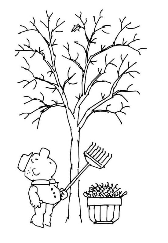 Cậu Bé Dọn Lá Cây