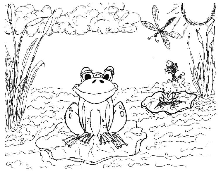 Chú Ếch Trong Hồ