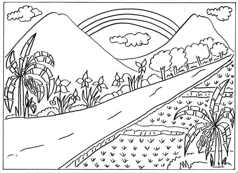 Còn Đường và Cánh Đồng Lúa