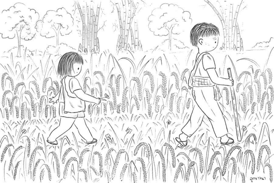 Hai Đứa Trẻ Trên Cánh Đồng Lúa