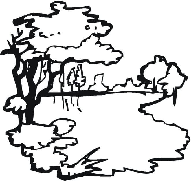 Hồ Nước Đơn Giản