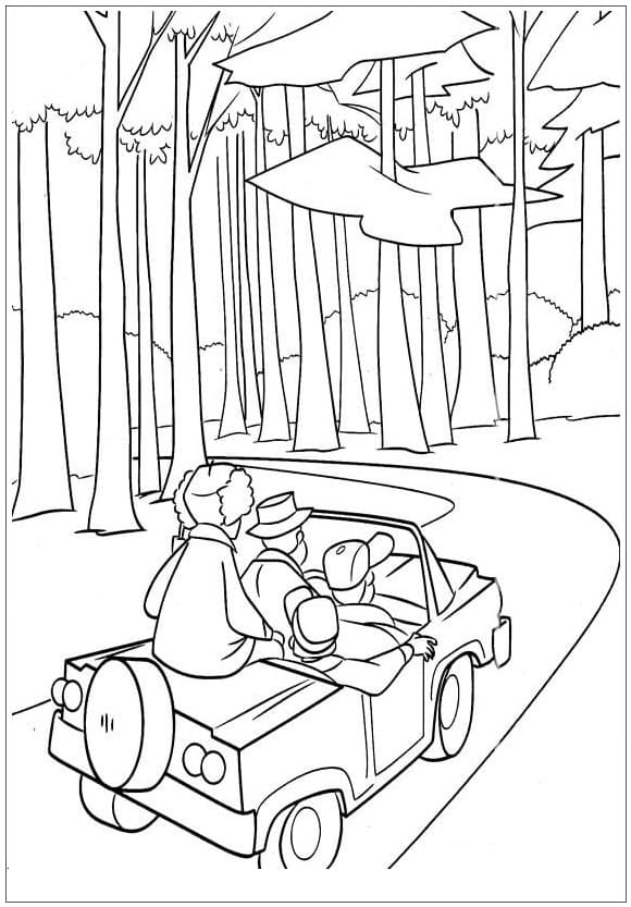 Khám Phá Khu Rừng