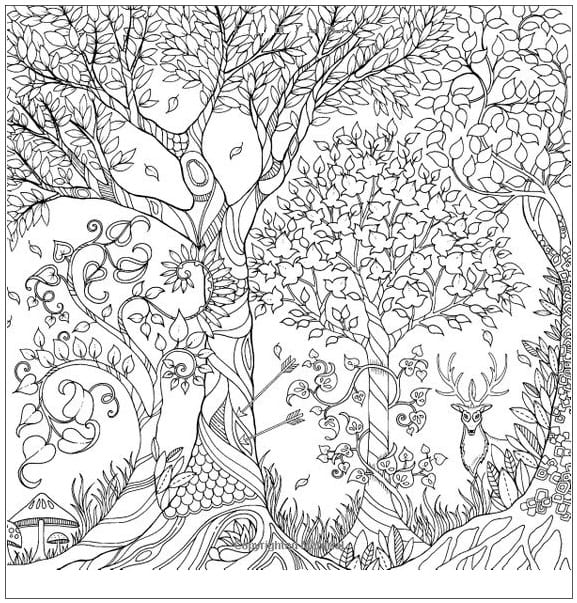 Khu Rừng Diệu Kỳ