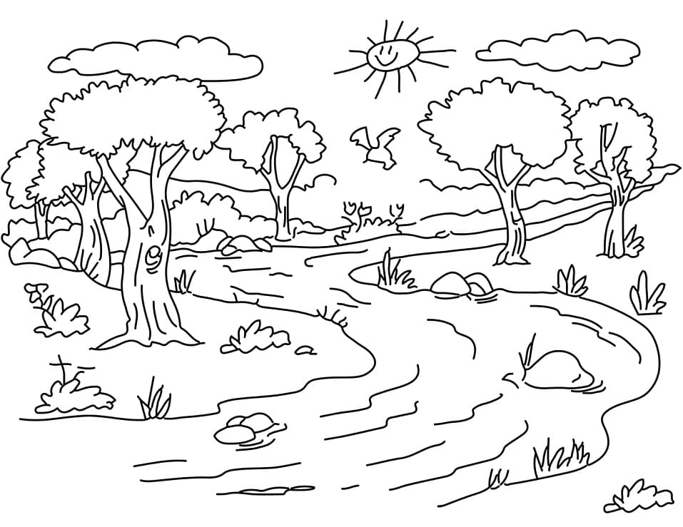 Khu Rừng Vào Buổi Sáng