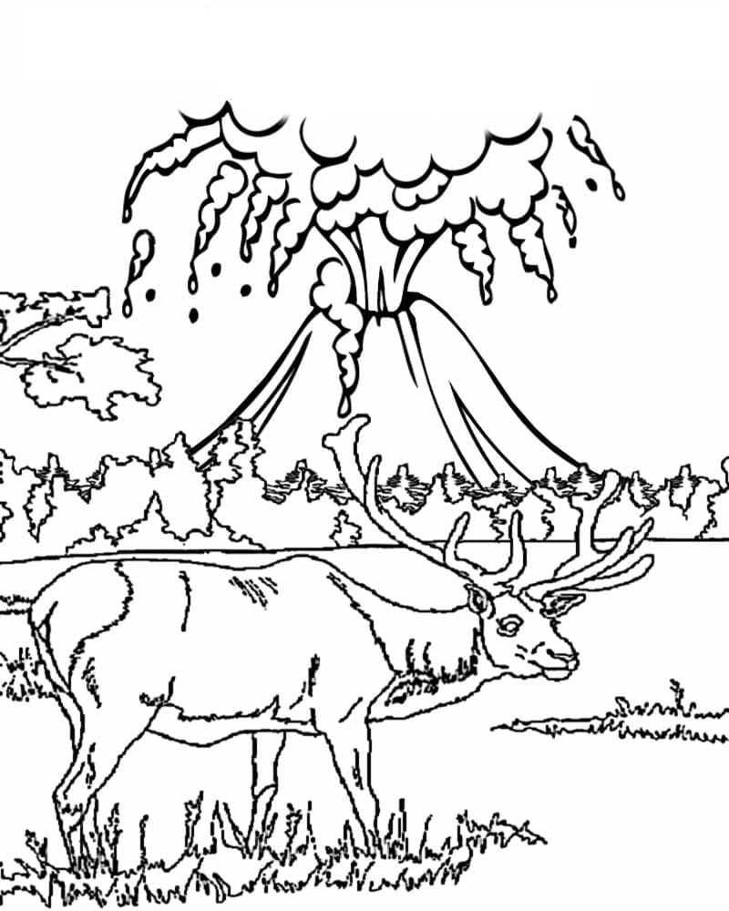 Núi Lửa Hùng Vĩ