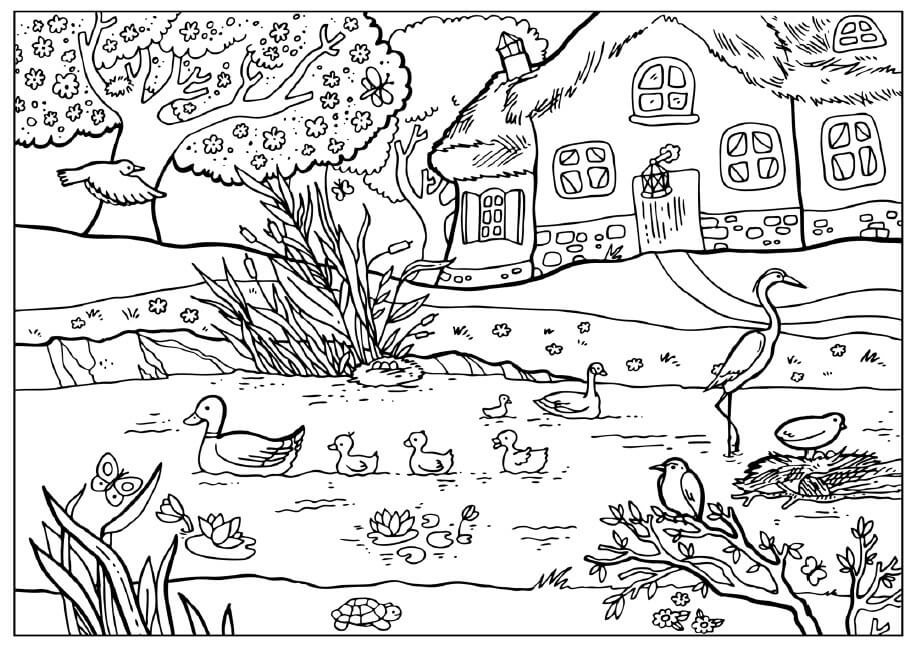 Phong Cảnh Ao Cá Miền Quê