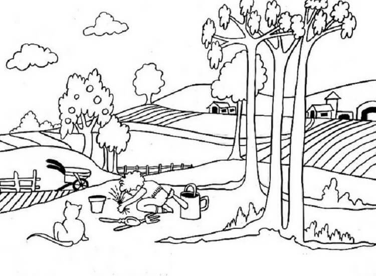 Phong Cảnh Đồng Quê