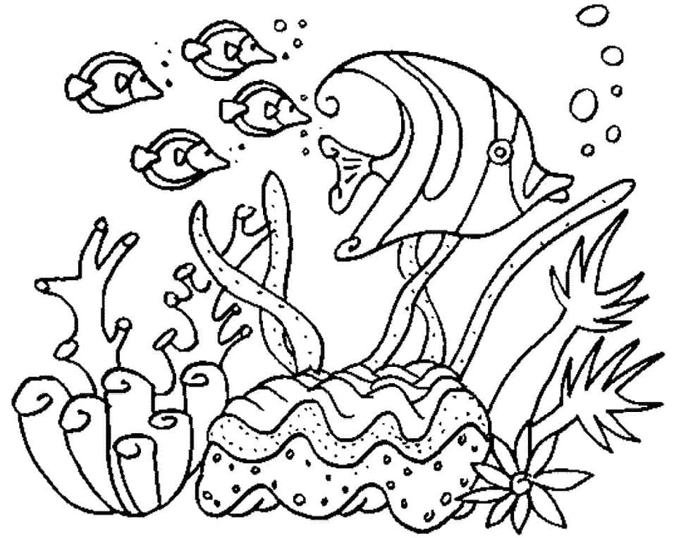 Sinh Vật Dưới Đại Dương