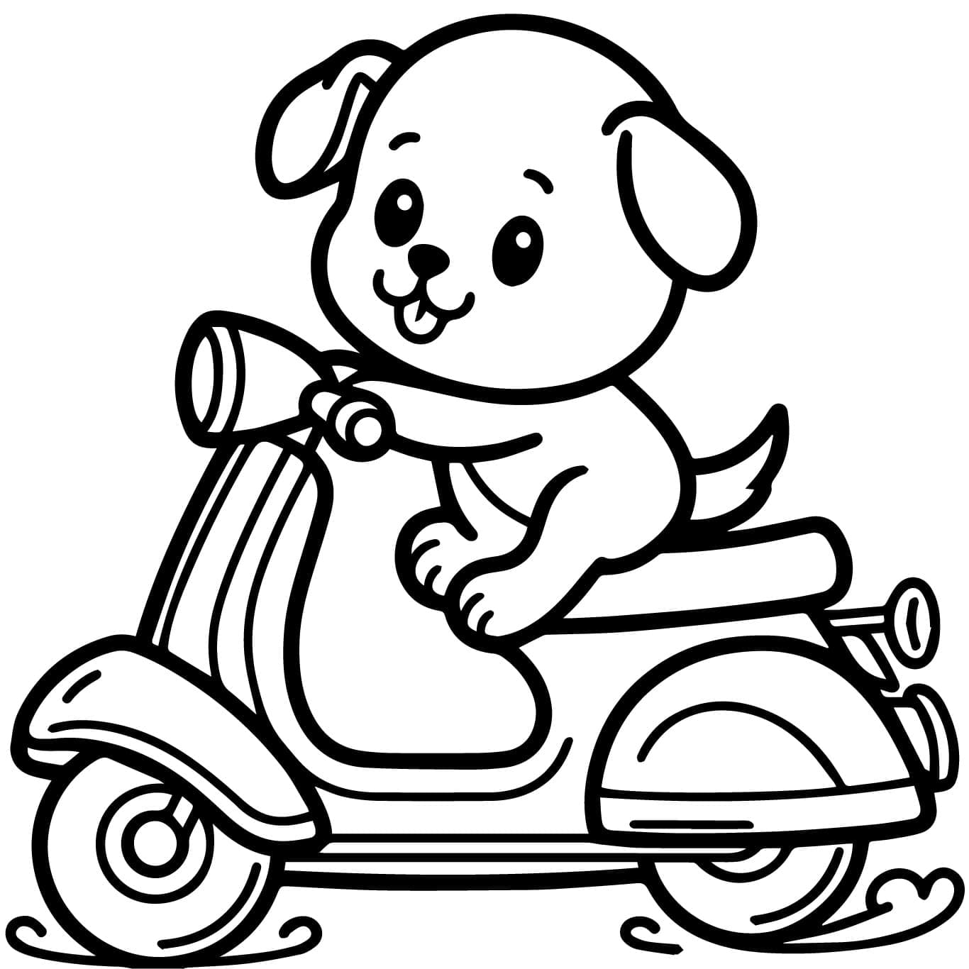 Chú Chó Đi Xe Tay Ga