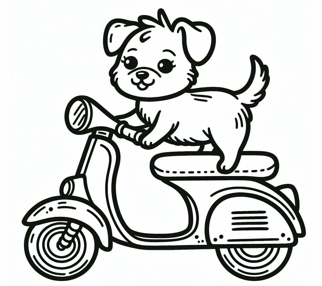 Chú Chó Lái Xe Gắn Máy