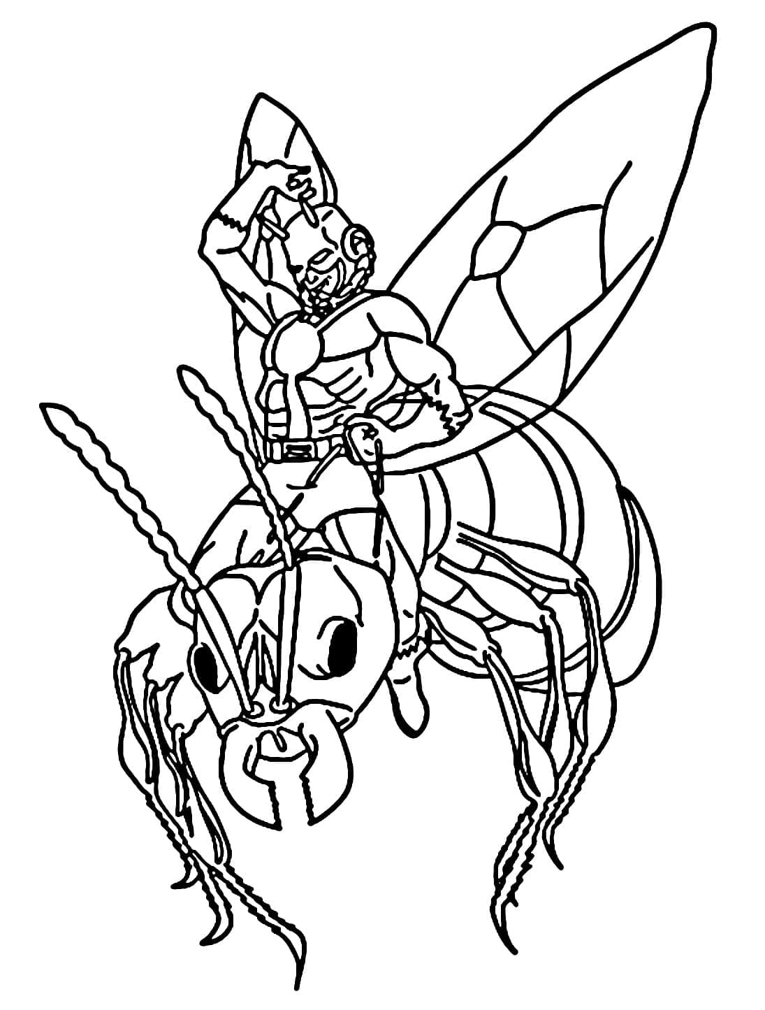 Người Kiến và Con Kiến