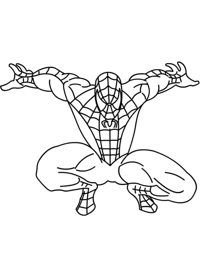 Người Nhện Spider Man Đơn Giản