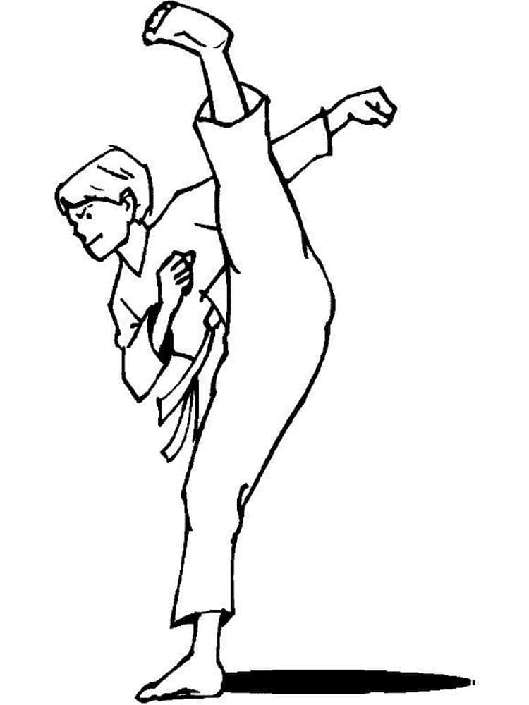 Tập Luyện Karate