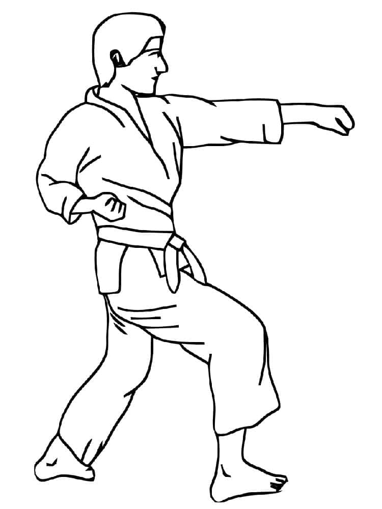 Tập Võ Karate