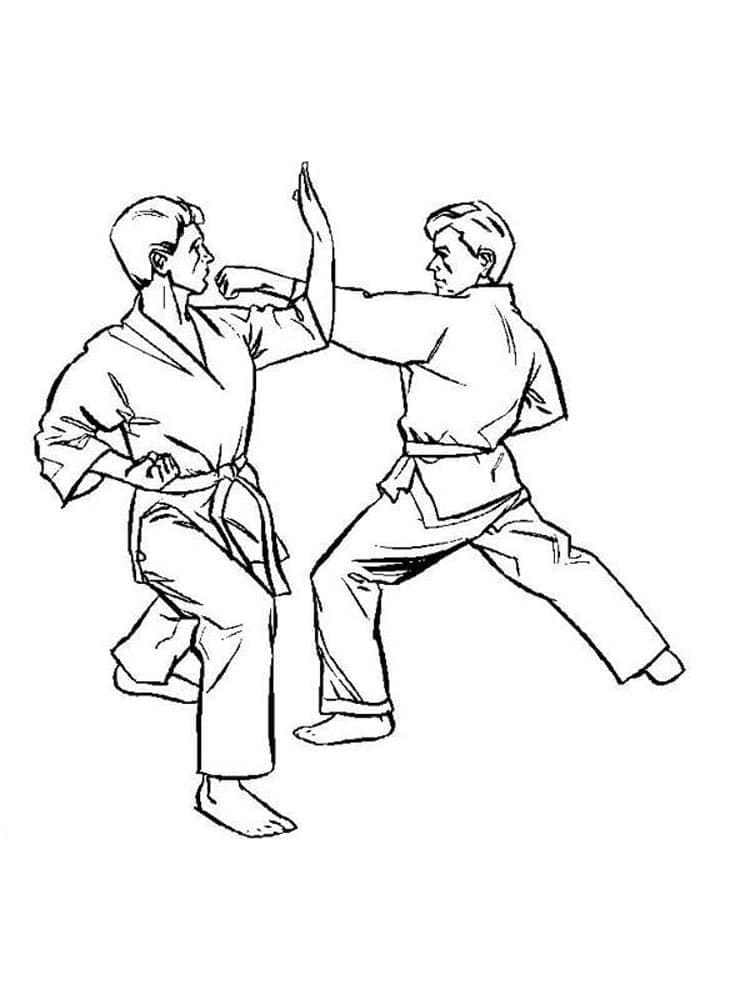 Trận Đấu Karate