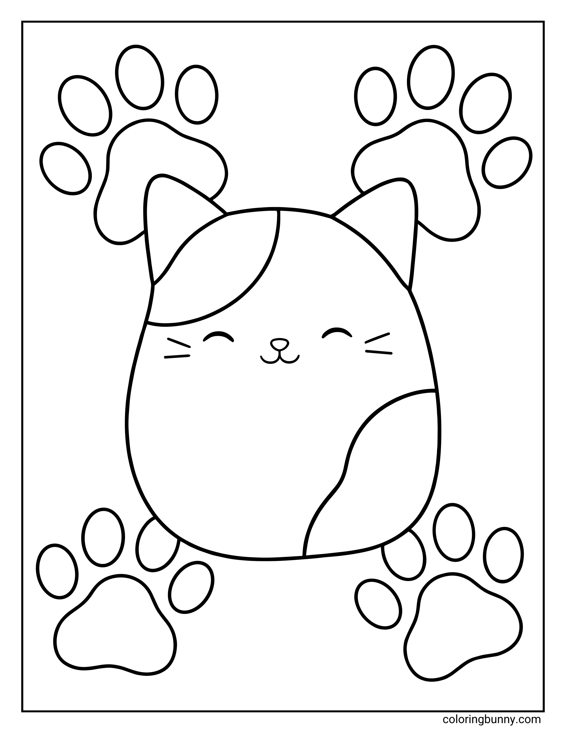 Tranh Tô Màu Cam Mèo Squishmallow