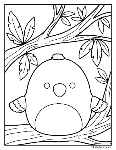 Tranh Tô Màu Paco Vẹt Squishmallow