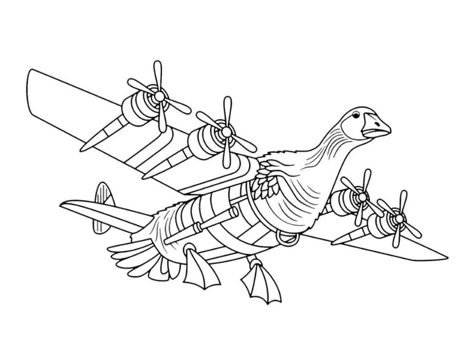 Bombombini Gusini Bay