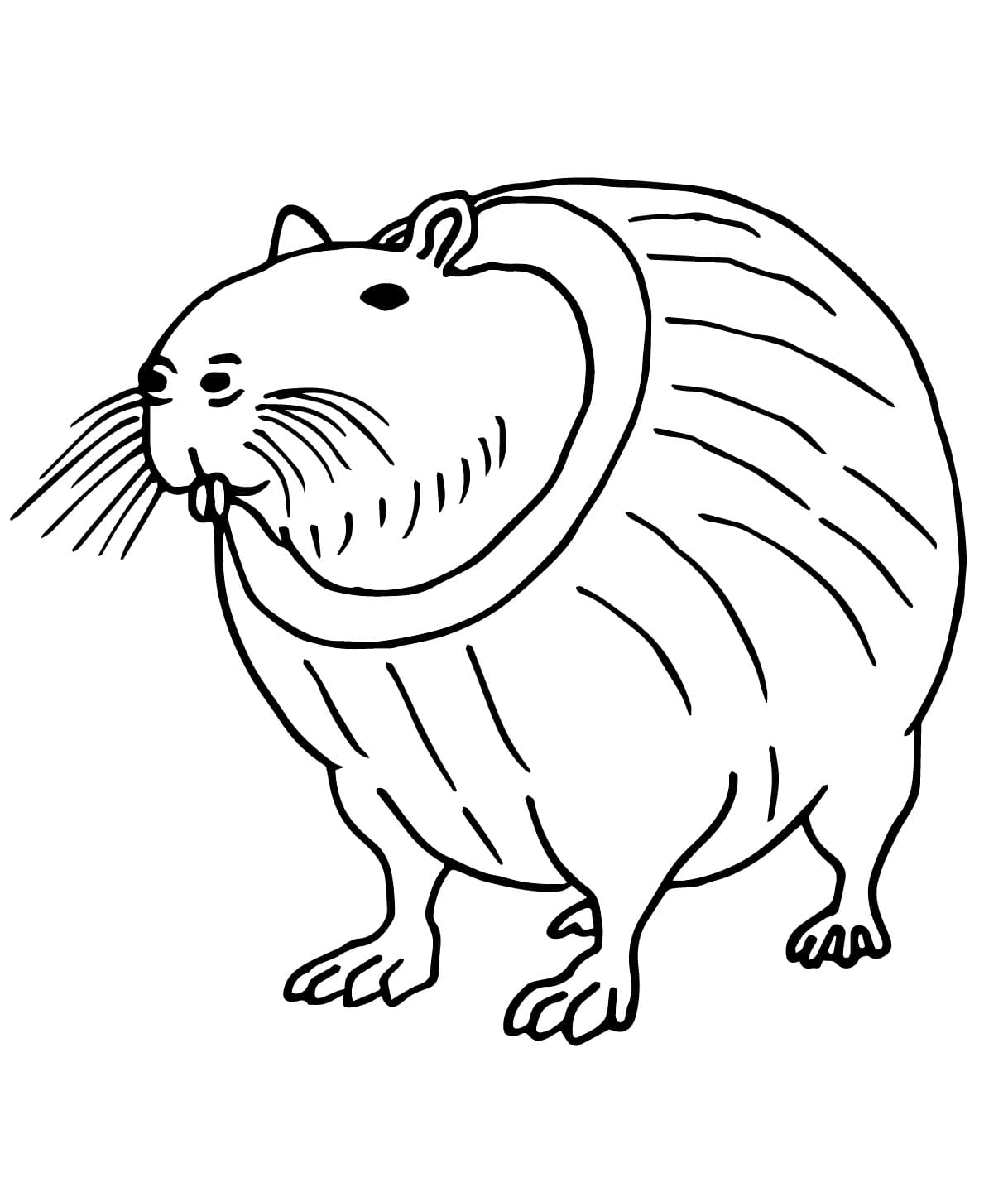 Burbaloni Lulilolli Brainrot