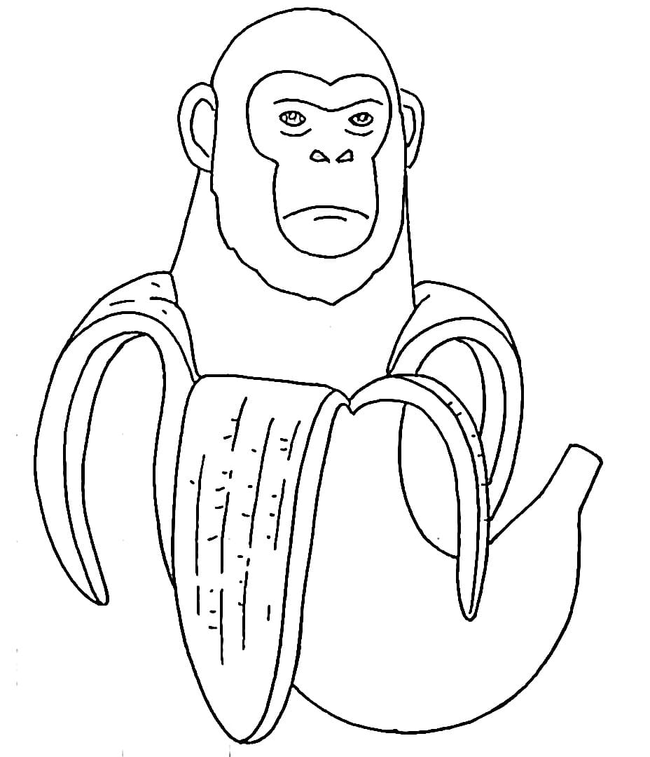 Chimpanzini Bananini Trong Brainrot