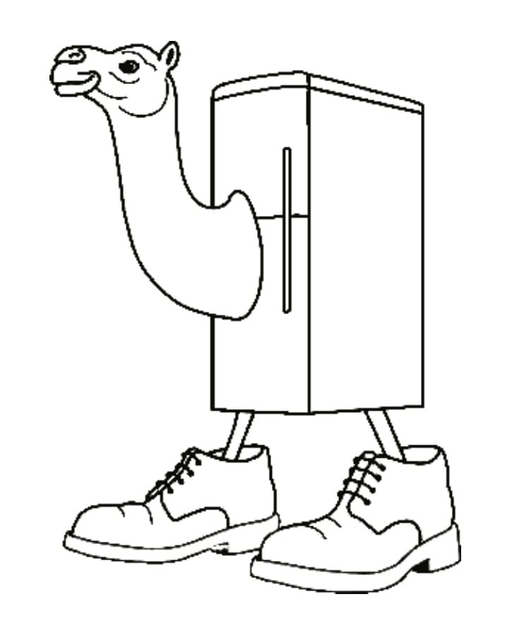 Frigo Camello Đơn Giản