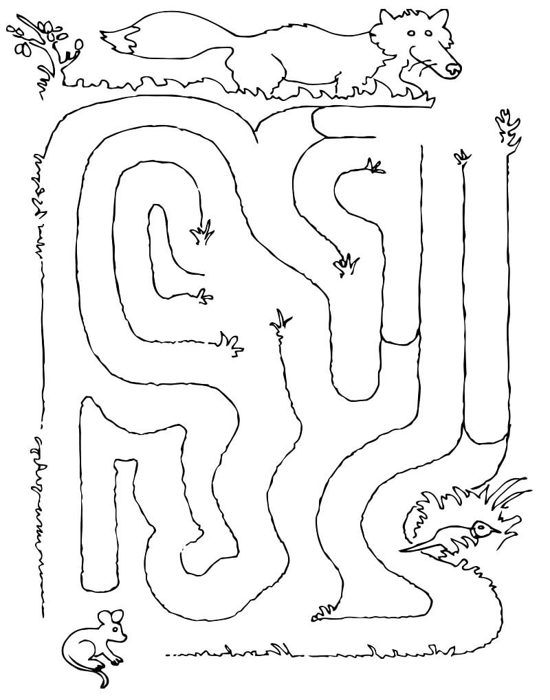 Mê Cung Chuột và Sói