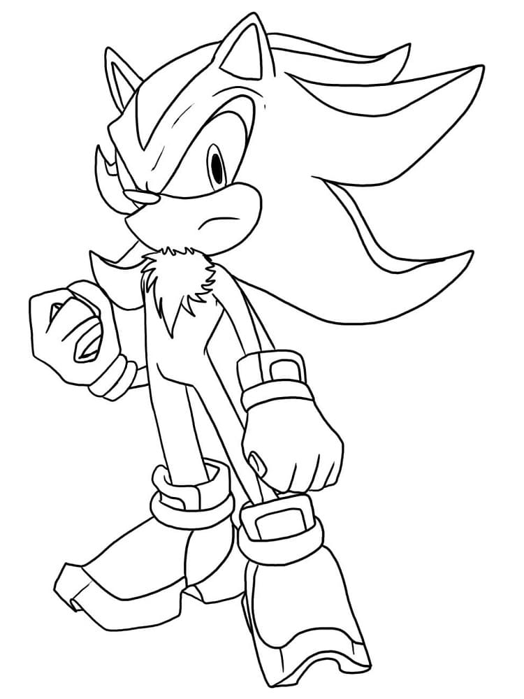 Nhím Shadow Sonic
