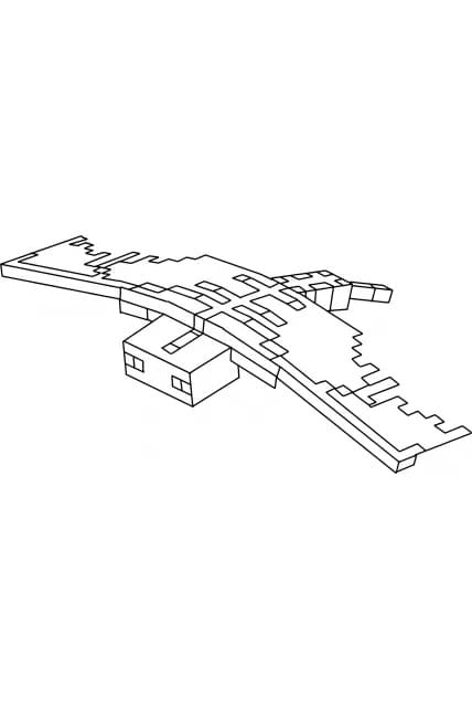 Phantom Trong Minecraft