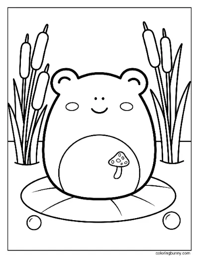 Tranh Tô Màu Wendy Ếch Squishmallow
