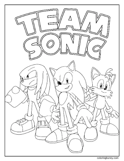 Trang Tô Màu Team Sonic